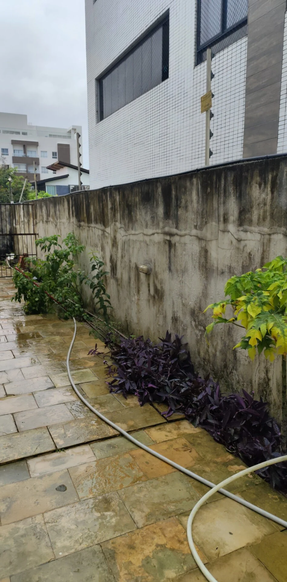 Antes — projeto 1